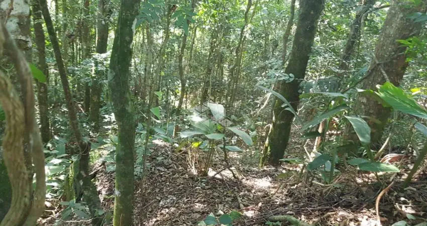 Terreno R$ 120.000,00 com 1.850m²; Paraiso Cantareira-Mairiporã