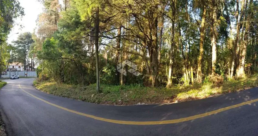 Terreno com 1.445m² à venda por R$ 500.000,00 - Parque Petrópolis - Mairiporã/SP