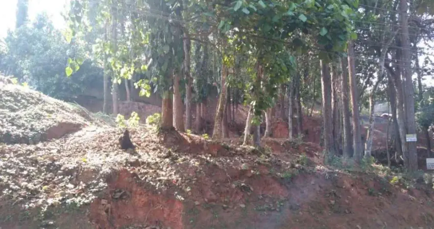 Terreno para Venda em Cotia / SP no bairro Jardim Barbacena