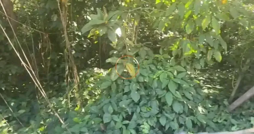 Terreno à venda em Vargem Pequena, Rio de Janeiro 
