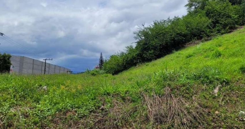 Terreno para Venda em Jaraguá do Sul, Nova Brasilia