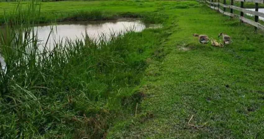 Chácara para Venda em Guaramirim, Caixa da Água, 2 dormitórios, 1 banheiro