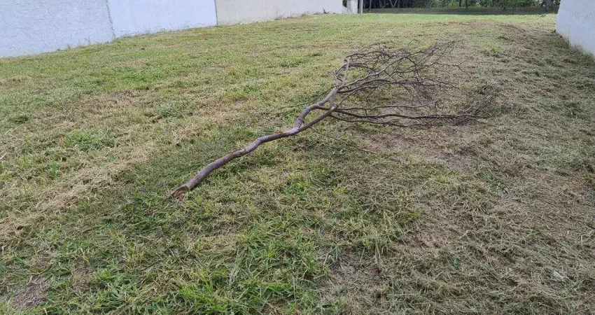Terreno em condomínio fechado à venda na Avenida Carlos Pedroso da Silveira, Jardim Santa Tereza, Taubaté