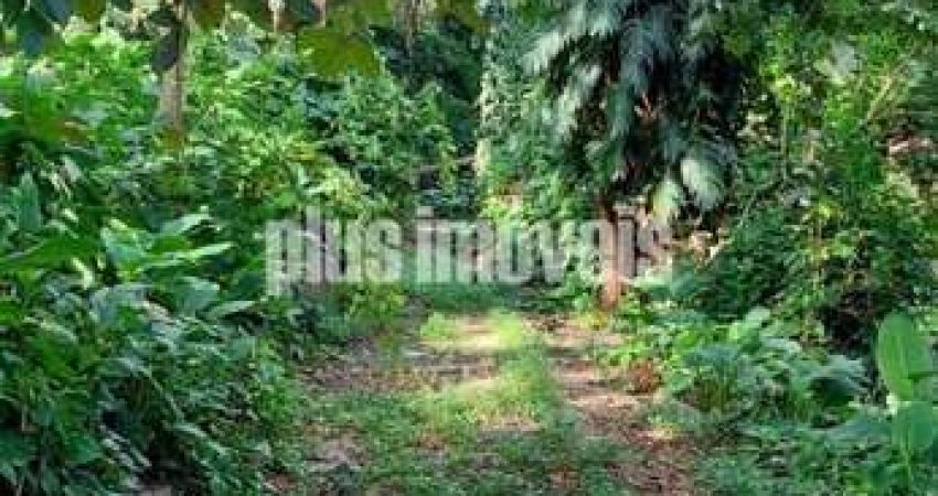 PANAMBY  4 TERRENOS ,PROXIMO AO COLEGIO PIO XII,AV MORUMBI