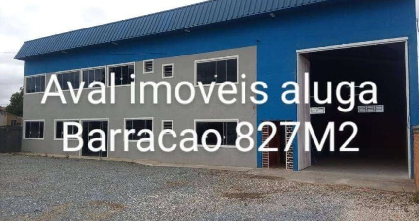 Barracão para alugar, 827 m² por R$ 13.780,82/mês - Centro - Pinhais/PR