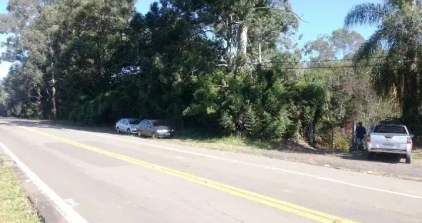 Terreno nas Margens da Rodovia Engenheiro Constâncio Cintra