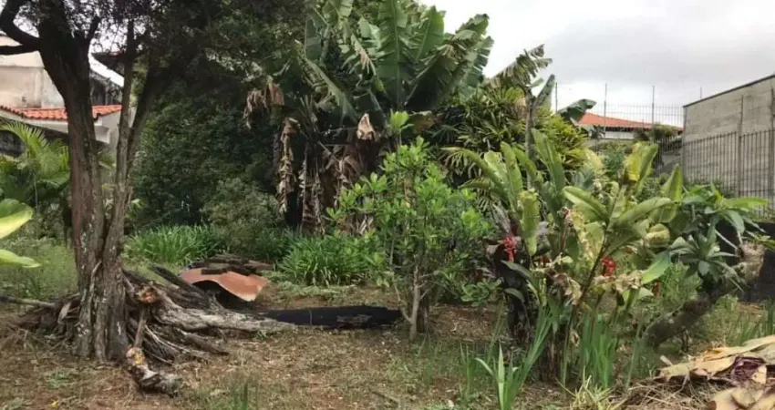TERRENO A VENDA NO VILA INAH