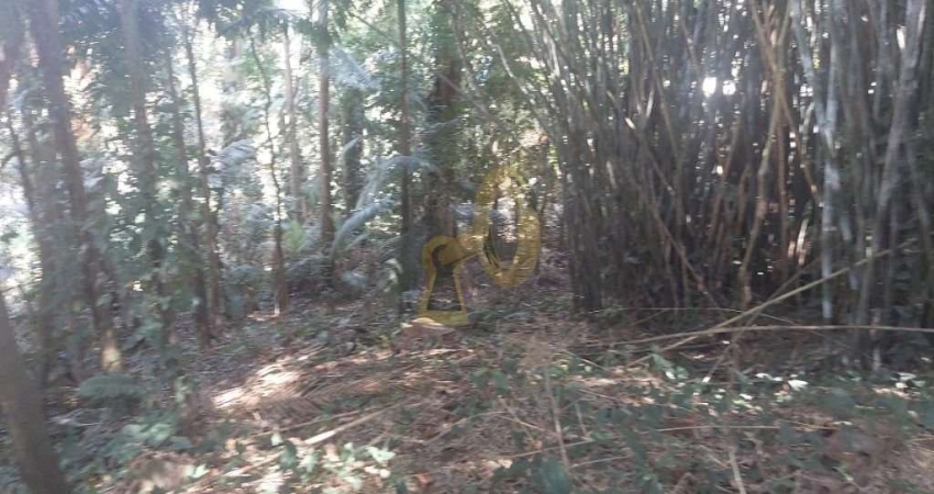 Terreno comercial para alugar no Morumbi, São Paulo 