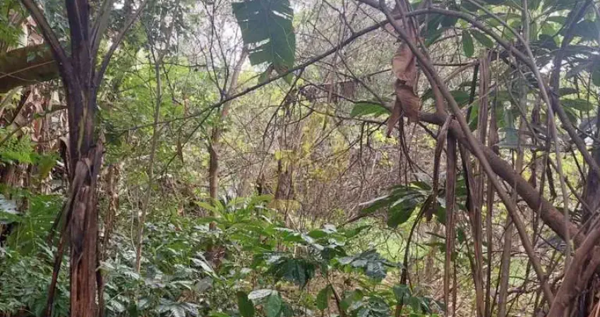 Terreno à Venda no Butantã - São Paulo
