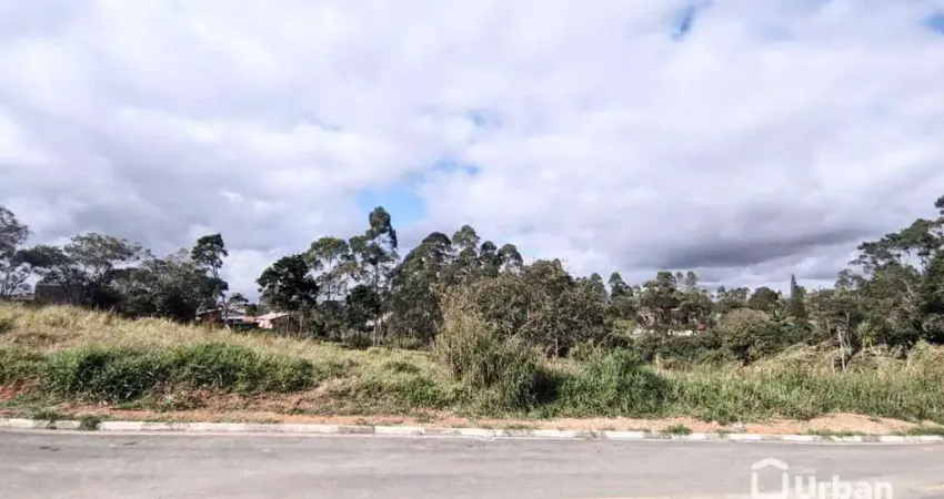 Terreno à venda, 18646 m² por R$ 6.900.000,00 - Jardim Europa - Vargem Grande Paulista/SP