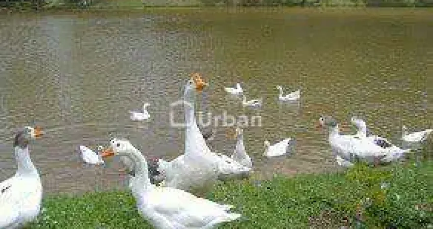 Terreno à venda em Cotia, Colonial Village (Caucaia do Alto), Colonial Village