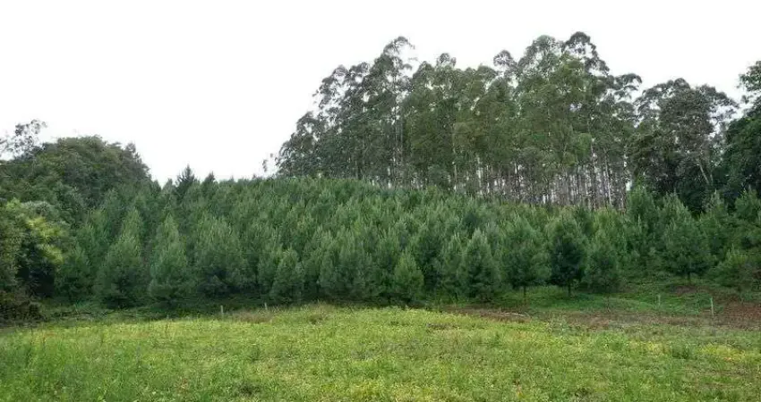 Terreno à venda na SANTA MARIA (BENEDITO NOVO), 85, Santa Maria, Benedito Novo