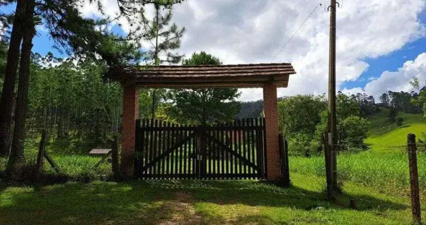 Fazenda com 1 sala à venda na BENEDITO NOVO, Barra São João, Benedito Novo