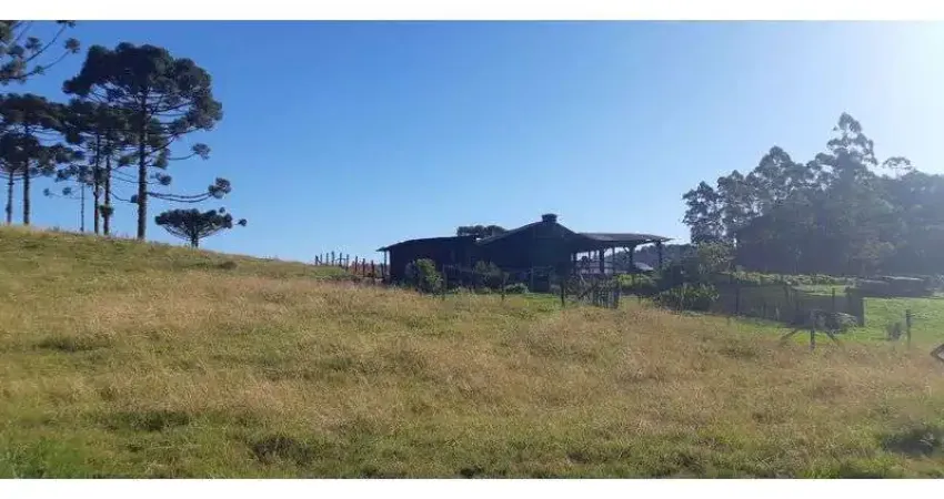 Fazenda com 1 sala à venda na RIO DOS CEDROS, Alto Palmeiras, Rio dos Cedros