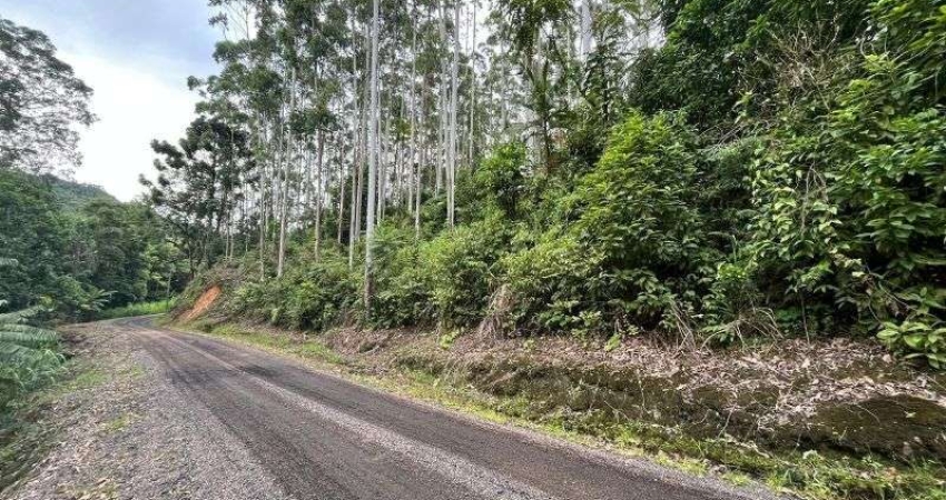 Terreno à venda na BENEDITO NOVO, Santa Maria, Benedito Novo