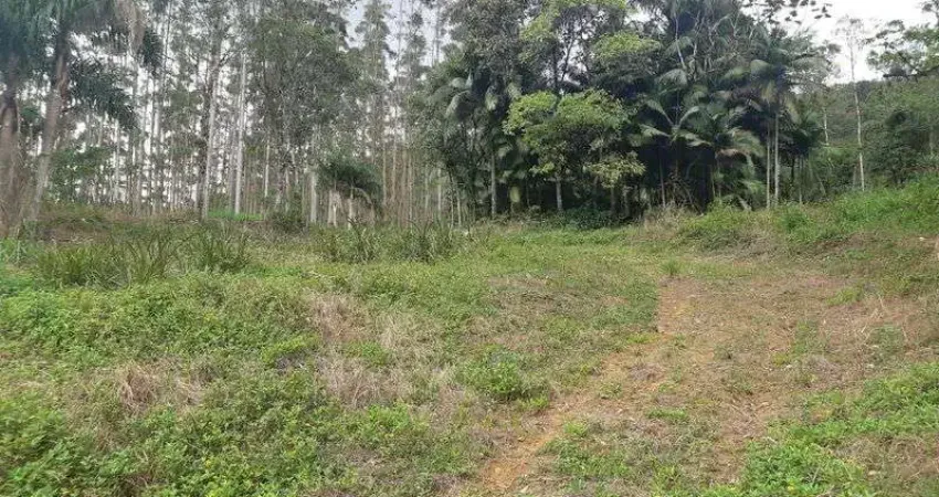 Fazenda à venda no Rio Cunha, Rio dos Cedros