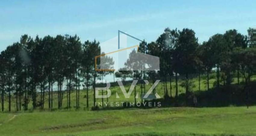 Vendo/Alugo ÁREA RODOVIA CASTELO BRANCO. Terreno: 10.900 m², Benfeitoria: Poço artesiano. Próximo da Toyota, Sorocaba-SP