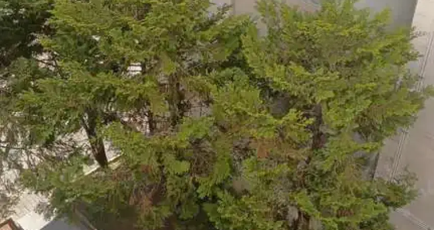 Alugo apto. 2dorms conselheiro moreira de barros, locação apto. 2 dorms próximo ao andorinha