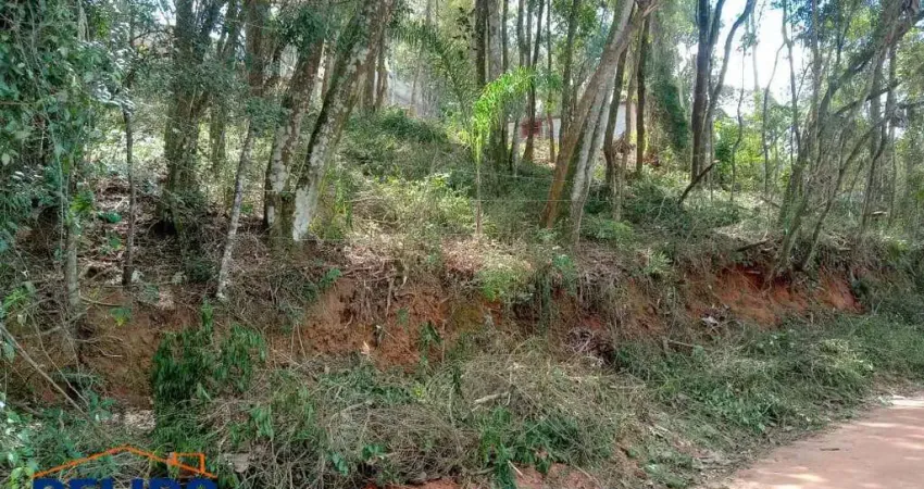Terreno Escriturado em Terra Preta: Tranquilidade e Natureza Próxima a SP