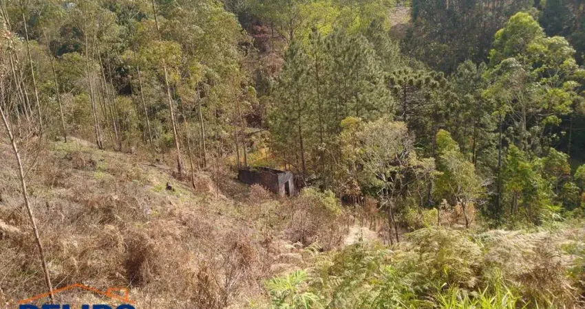 Terrenos à Venda com Ótima Localização — Próximo ao Asfalto.