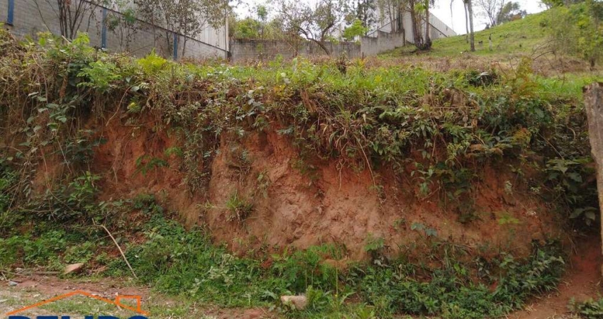 Terreno à venda em Terra Preta, ótima localização em área Mista.