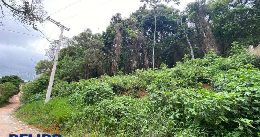 Oportunidade Única: Terreno Escriturado de 820 m² Esperando por Você!