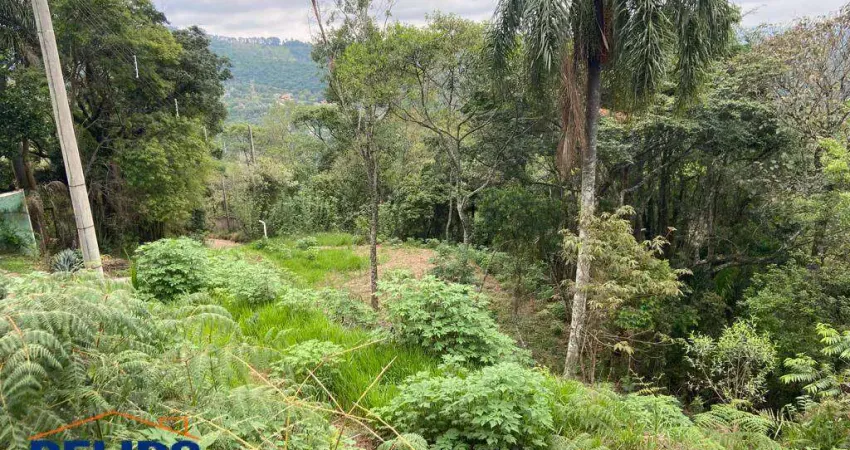 Terreno Tranquilo e Arborizado - Ideal para sua Nova Residência.