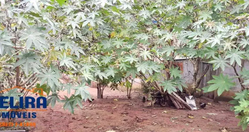Terreno com Escritura em Bairro Tranquilo com Área Verde
