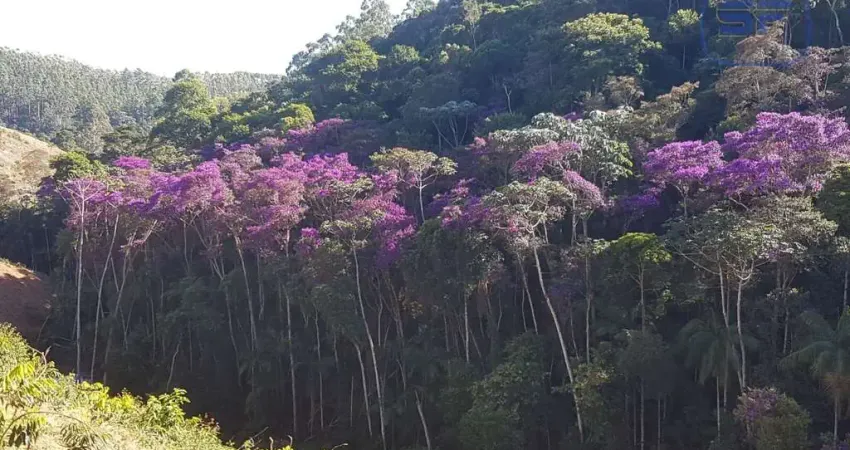 Terreno à venda no Alto Caldeirão, Santa Teresa