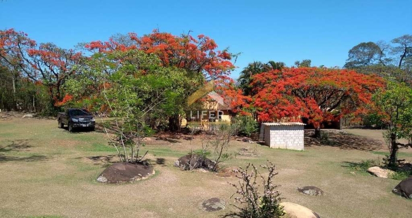 Fazenda à venda na Romeu Túllio, 1450, Carlos Gomes, Campinas