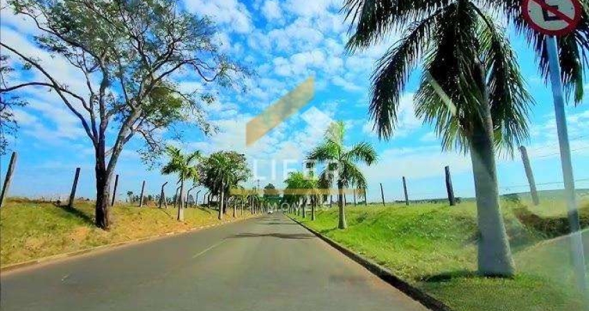 Terreno em condomínio fechado à venda na Rua José Abelardo Barbosa, 784, Parque Xangrilá, Campinas
