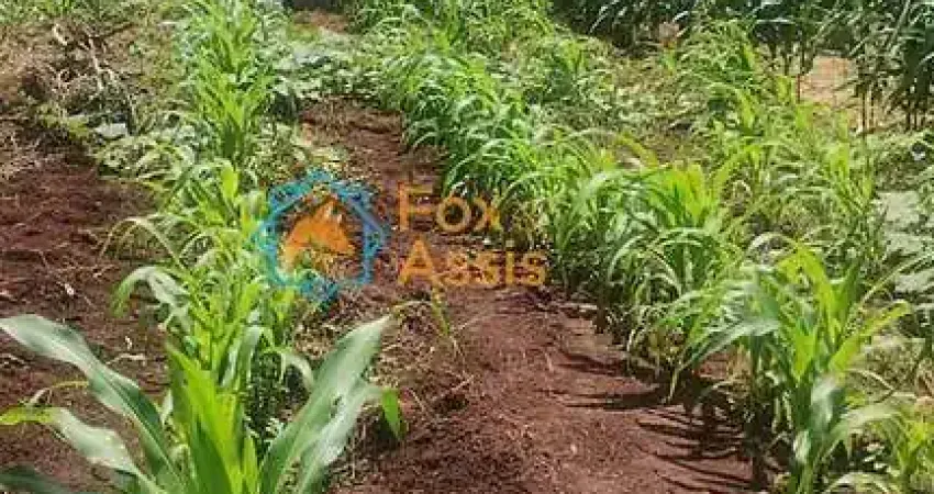 Terreno à venda na Avenida Gioconda Cibin, Jardim Terramérica I, Americana