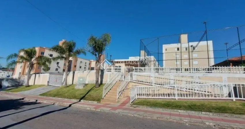 Apartamento com 2 quartos à venda na Rua Wenceslau Evaristo Silva, 65, Serraria, São José