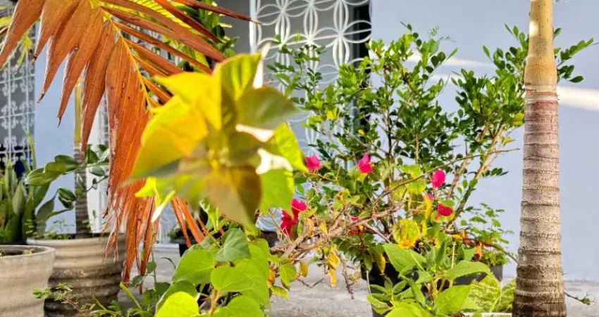 Veja essa casa no coração do bairro dos estados, com um flat anexo.