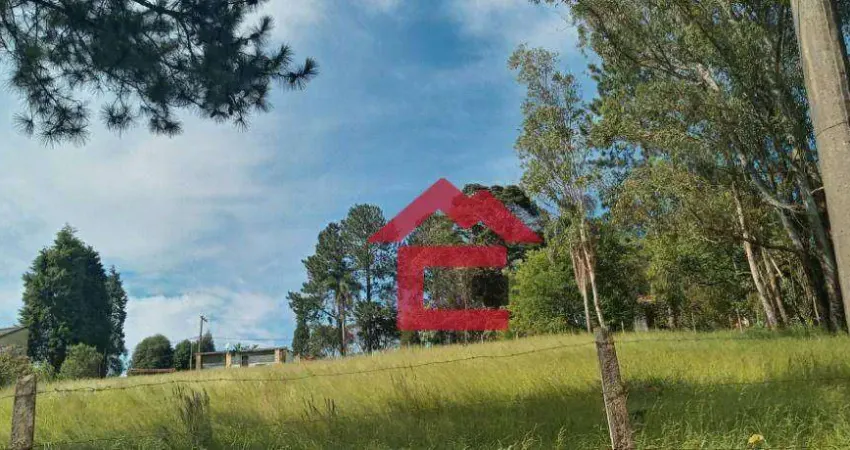 Terreno à venda, 2000 m² por r$ 180.000,00 - centro (canguera) - são roque/sp