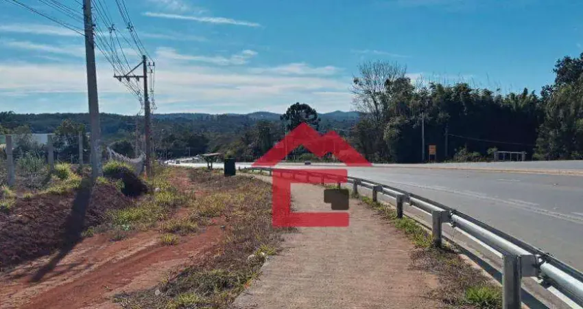 Terreno à venda, 4700 m² por r$ 1.190.000,00 - puris - ibiúna/sp