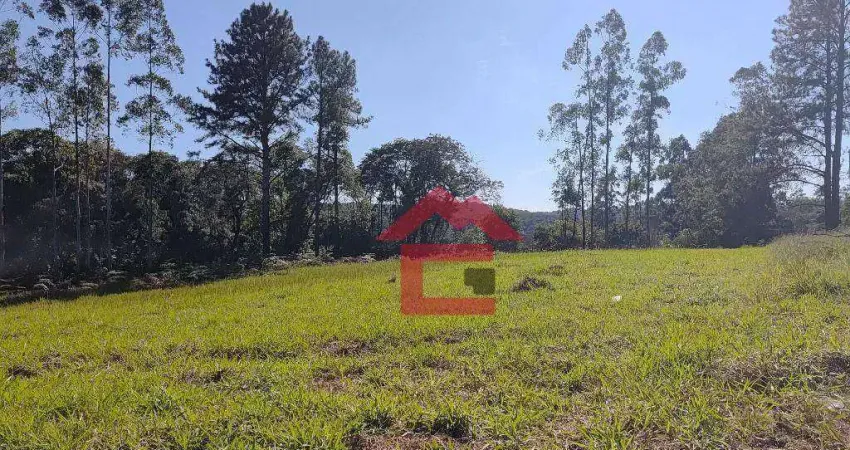 Terreno à venda na Rua Benedito Silvino de Camargo, Centro (Canguera), São Roque