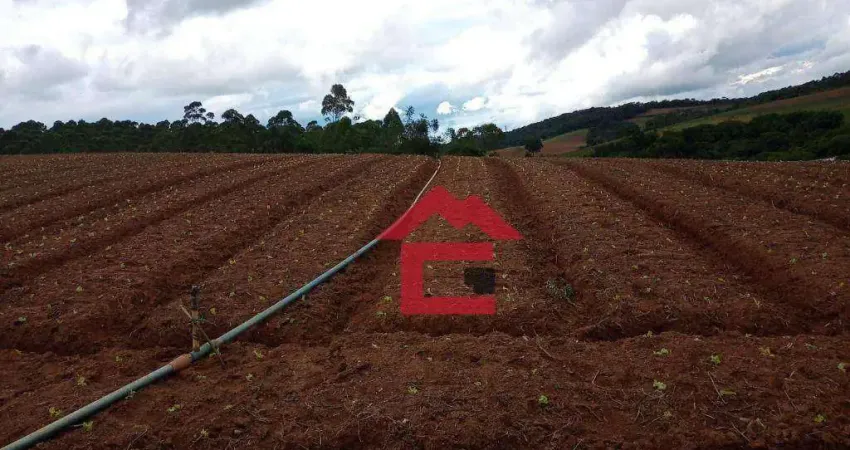 Área à venda, 411400000 m² por r$ 3.000.000,00 - cocais - ibiúna/sp