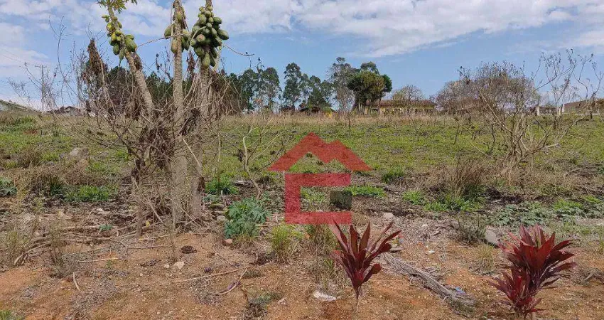 Terreno à venda, 1000 m² por r$ 500.000,00 - canguera - são roque/sp