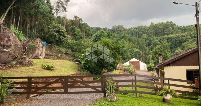 Chácara / sítio com 4 quartos à venda na Vicente Pietro, 6000, Pinhal Alto, Nova Petrópolis