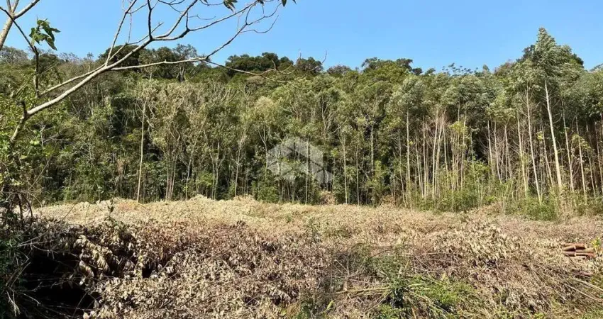 Chácara / sítio à venda na Rua Antônio Schoeler, 111, Linha Imperial, Nova Petrópolis