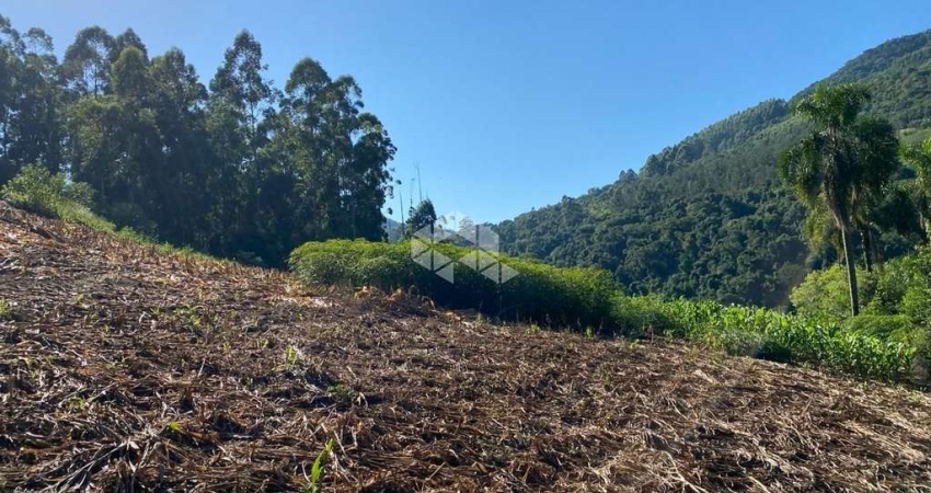 Chácara / sítio à venda na Fazenda Pirajá, 1000, Zona Rural, Nova Petrópolis