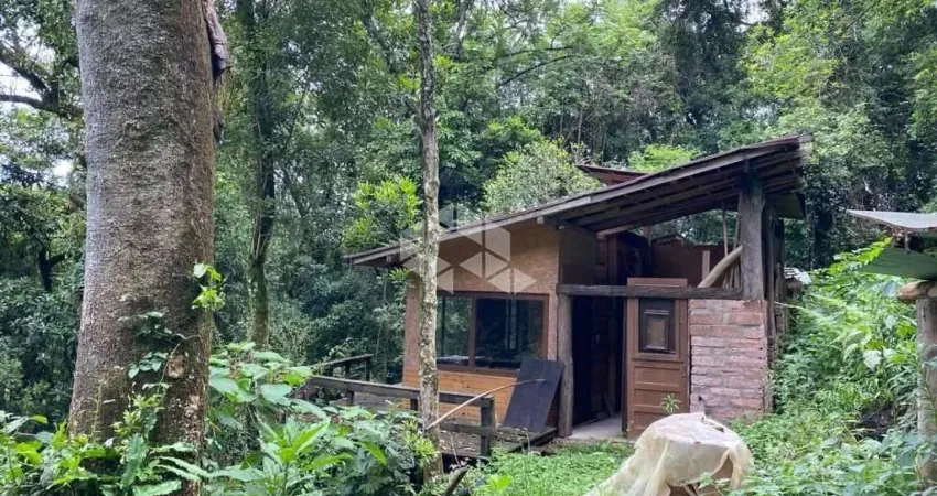 Chácara / sítio à venda na Ahmann, 4500, Zona Rural, Nova Petrópolis