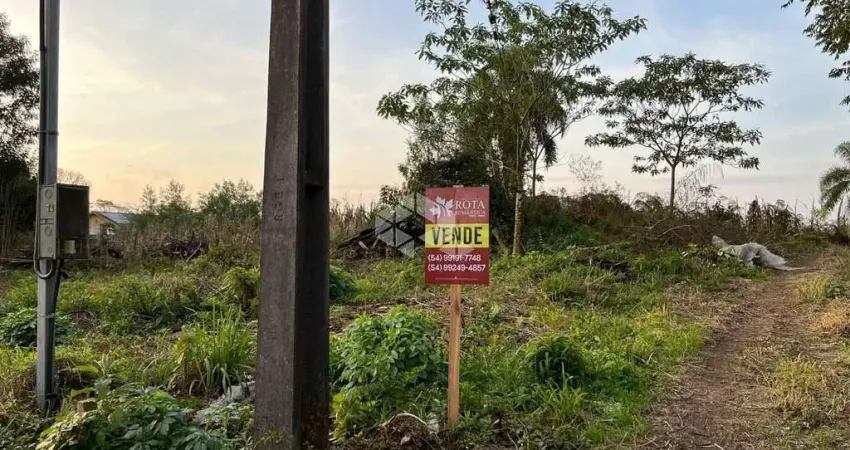 Terreno à venda na das balsaminhas, 10, Bavária, Nova Petrópolis