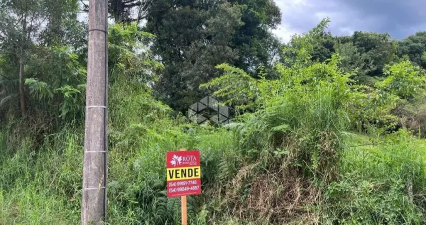 Terreno à venda na da Torre, 1, Bavária, Nova Petrópolis