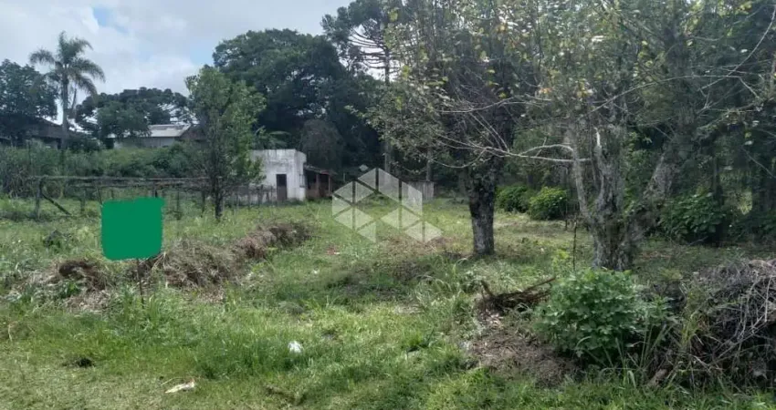 Terreno à venda na rodovia presidente getulio vargas, 278, Bavária, Nova Petrópolis