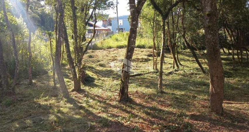 Terreno à venda na Alberto Lamberty, 10, Vila Germania, Nova Petrópolis