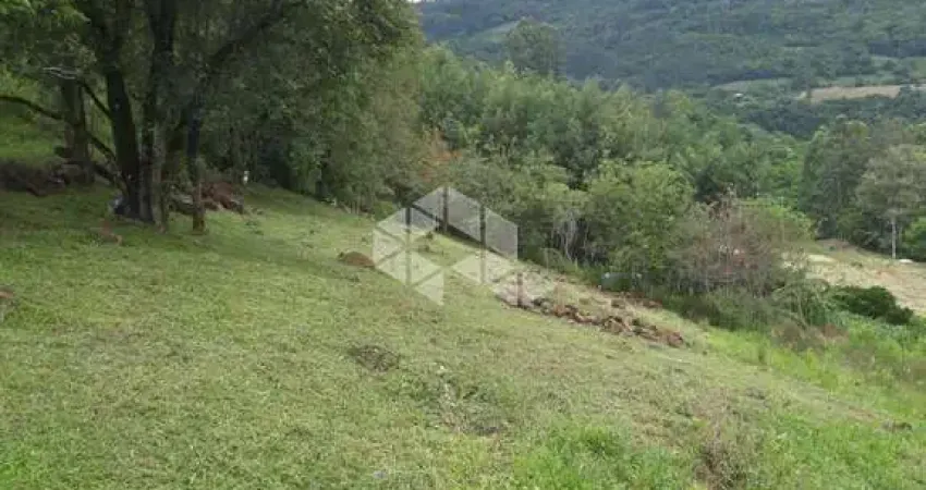 Área de terras com 11.777,62 m² em linha pirajá, nova petrópolis