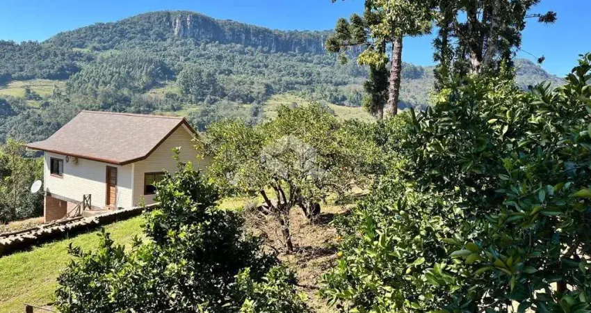 Chácara de 7,1 ha à venda por r$ 2.100.000 em nova petrópolis na serra gaúcha.