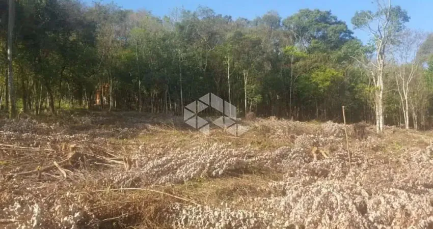 Terreno à venda na da Olaria, 500, Piá, Nova Petrópolis
